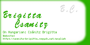 brigitta csanitz business card